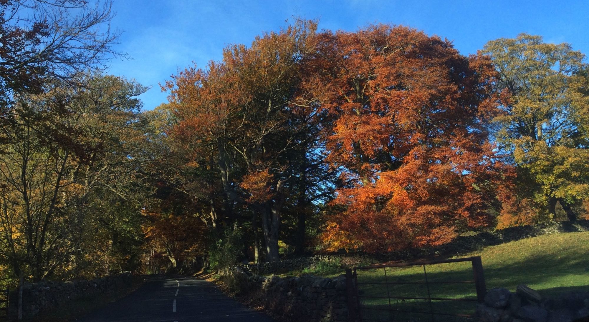 Untutored October Retreat 2026